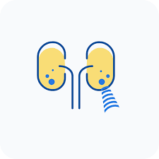 Retrograde Intrarenal Surgery (RIRS) Treatment in Indore
