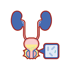 Best Doctors For Frequent Urination Treatment In Indore