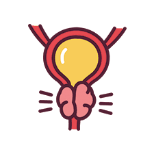 Prostate Cancer Treatment in Indore