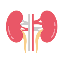 Renal Transplant Surgeon in Indore