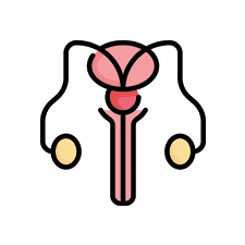 Urological Cancer Treatment In Indore